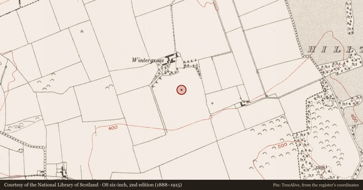 Ordnance Survey six-inch map, 2nd edition (1888–1915) covering the location of Field system, Bellewstown, County Meath, with a pin at the register's coordinates