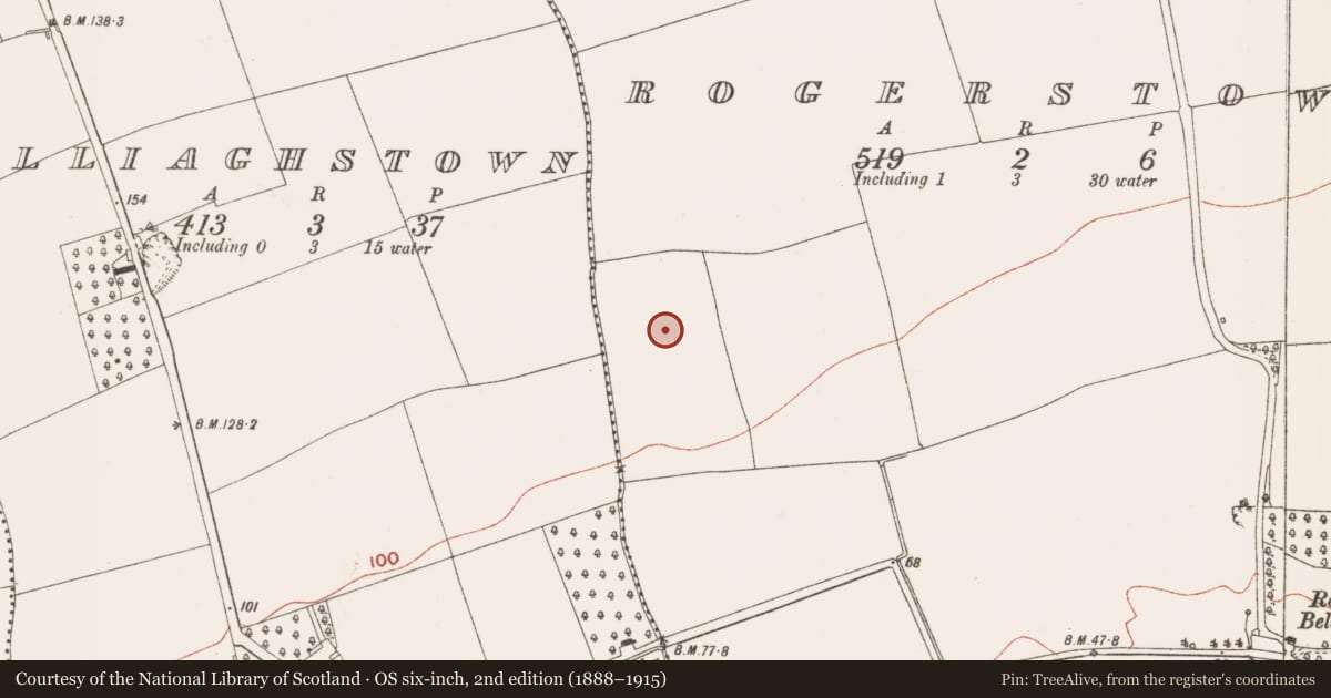 Ordnance Survey six-inch map, 2nd edition (1888–1915) covering the location of Enclosure, Rogerstown, County Meath, with a pin at the register's coordinates