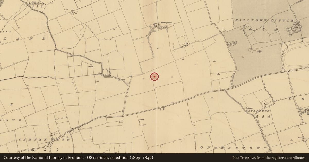 Ordnance Survey six-inch map, 1st edition (1829–1842) covering the location of Ring-ditch, Bellewstown, County Meath, with a pin at the register's coordinates