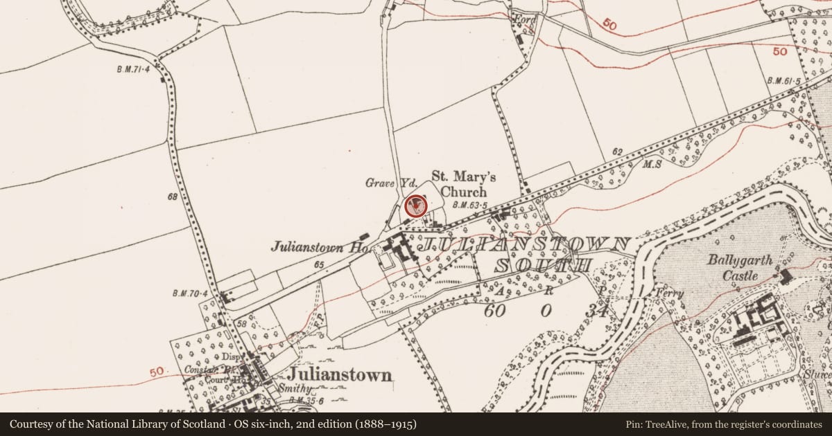 Ordnance Survey six-inch map, 2nd edition (1888–1915) covering the location of Tomb - chest tomb (present location), Julianstown West, County Meath, with a pin at the register's coordinates
