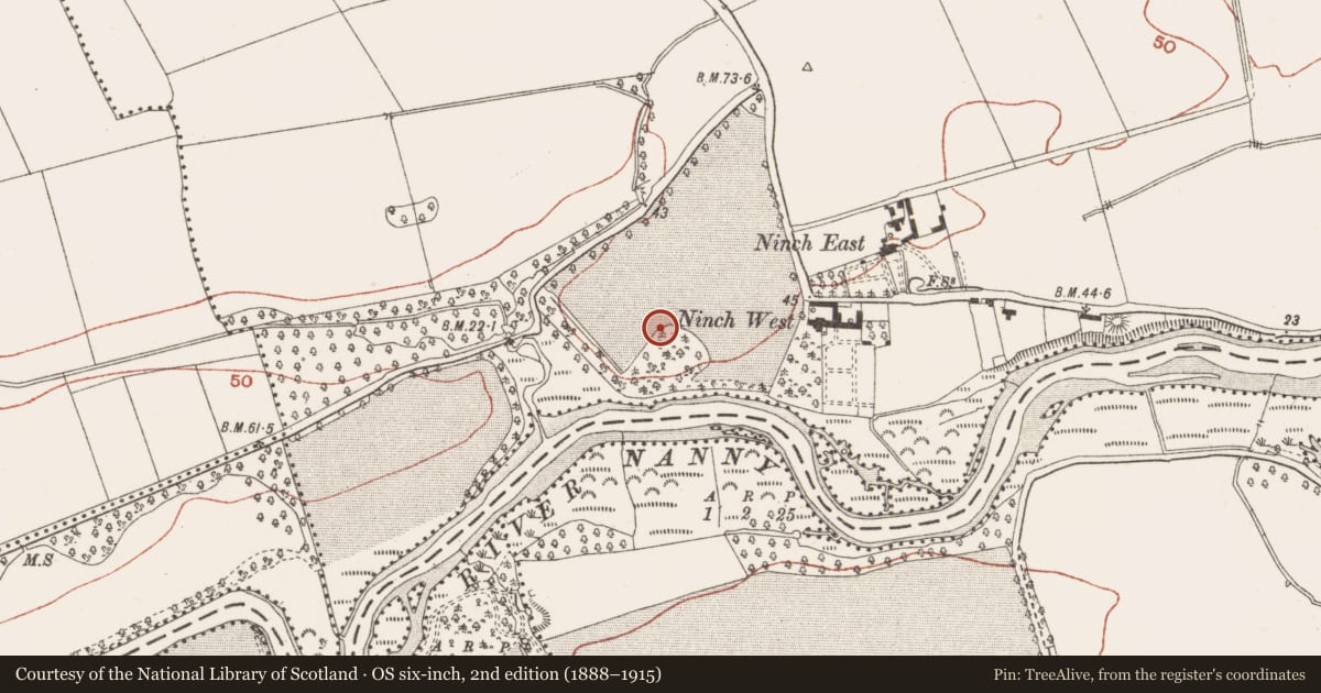 Ordnance Survey six-inch map, 2nd edition (1888–1915) covering the location of Earthwork, Ninch, County Meath, with a pin at the register's coordinates