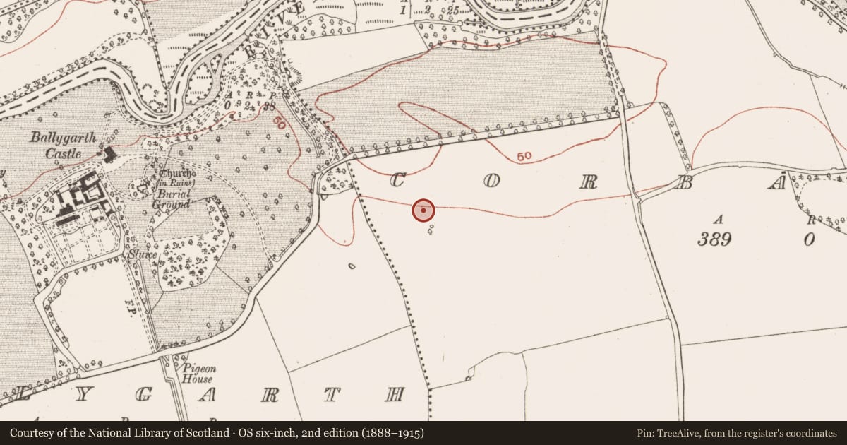 Ordnance Survey six-inch map, 2nd edition (1888–1915) covering the location of Enclosure, Corballis, County Meath, with a pin at the register's coordinates