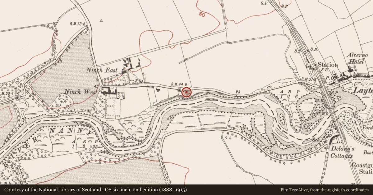Ordnance Survey six-inch map, 2nd edition (1888–1915) covering the location of Barrow - mound barrow, Ninch, County Meath, with a pin at the register's coordinates
