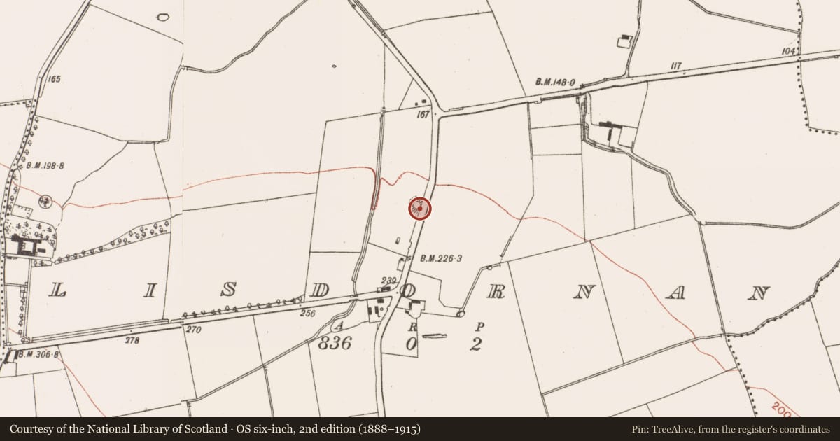 Ordnance Survey six-inch map, 2nd edition (1888–1915) covering the location of Castle - motte, Lisdornan, County Meath, with a pin at the register's coordinates