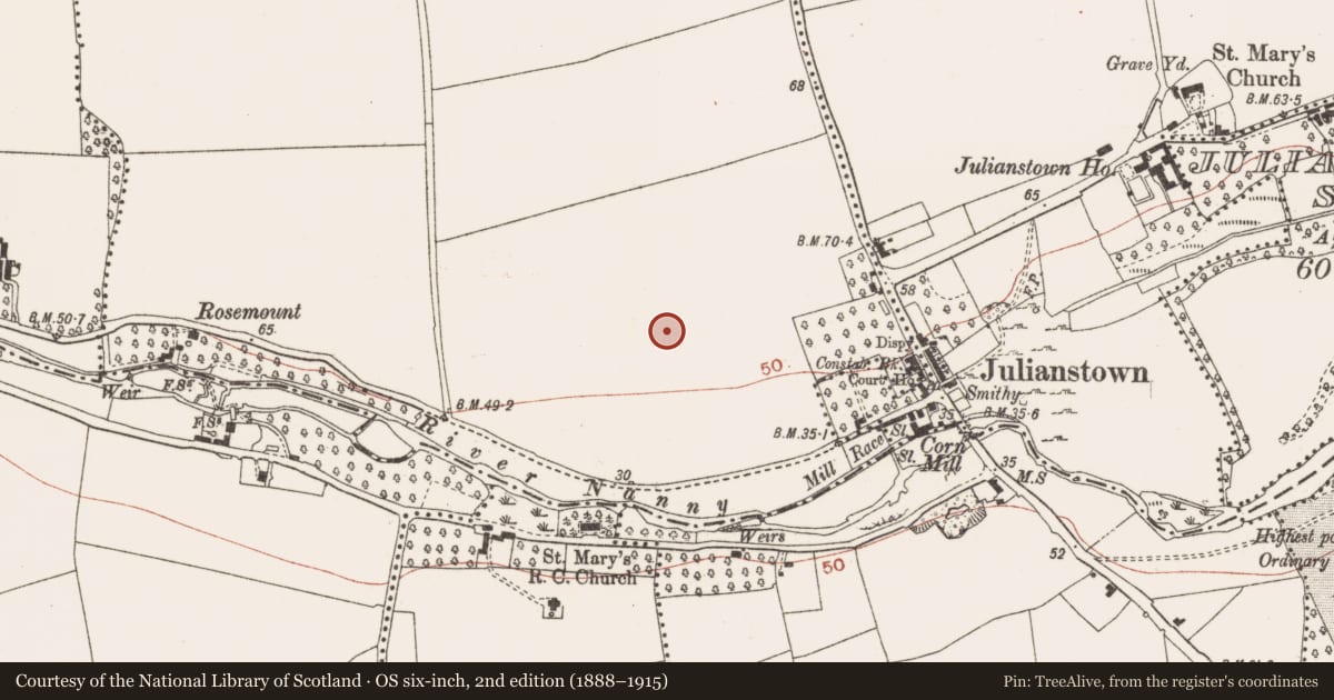Ordnance Survey six-inch map, 2nd edition (1888–1915) covering the location of Souterrain, Smithstown, County Meath, with a pin at the register's coordinates