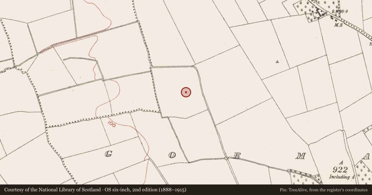 Ordnance Survey six-inch map, 2nd edition (1888–1915) covering the location of Fulacht fia, Gormanston, County Meath, with a pin at the register's coordinates