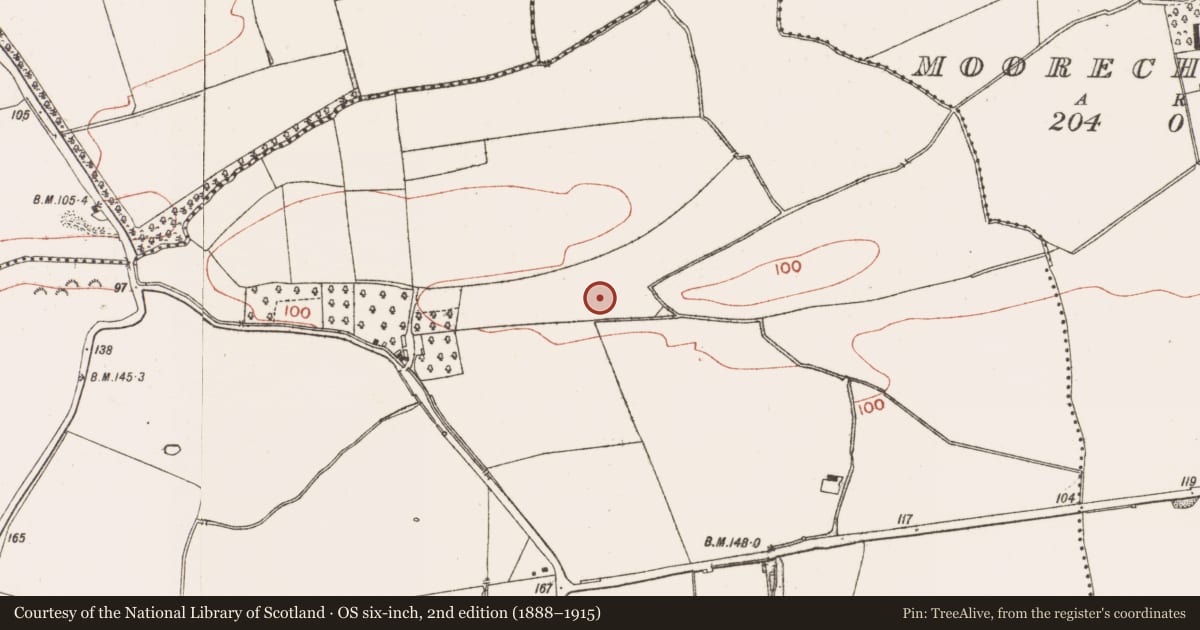Ordnance Survey six-inch map, 2nd edition (1888–1915) covering the location of Fulacht fia, Lisdornan, County Meath, with a pin at the register's coordinates