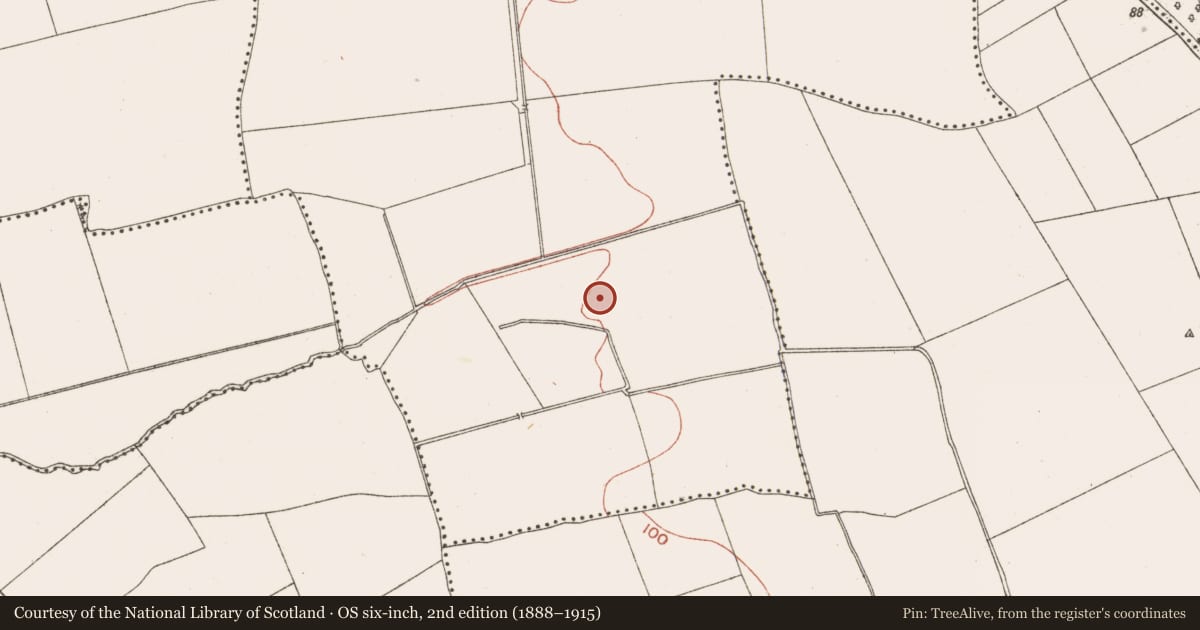 Ordnance Survey six-inch map, 2nd edition (1888–1915) covering the location of Fulacht fia, Sarsfieldstown, County Meath, with a pin at the register's coordinates