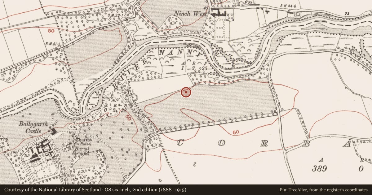 Ordnance Survey six-inch map, 2nd edition (1888–1915) covering the location of Ring-ditch, Corballis, County Meath, with a pin at the register's coordinates