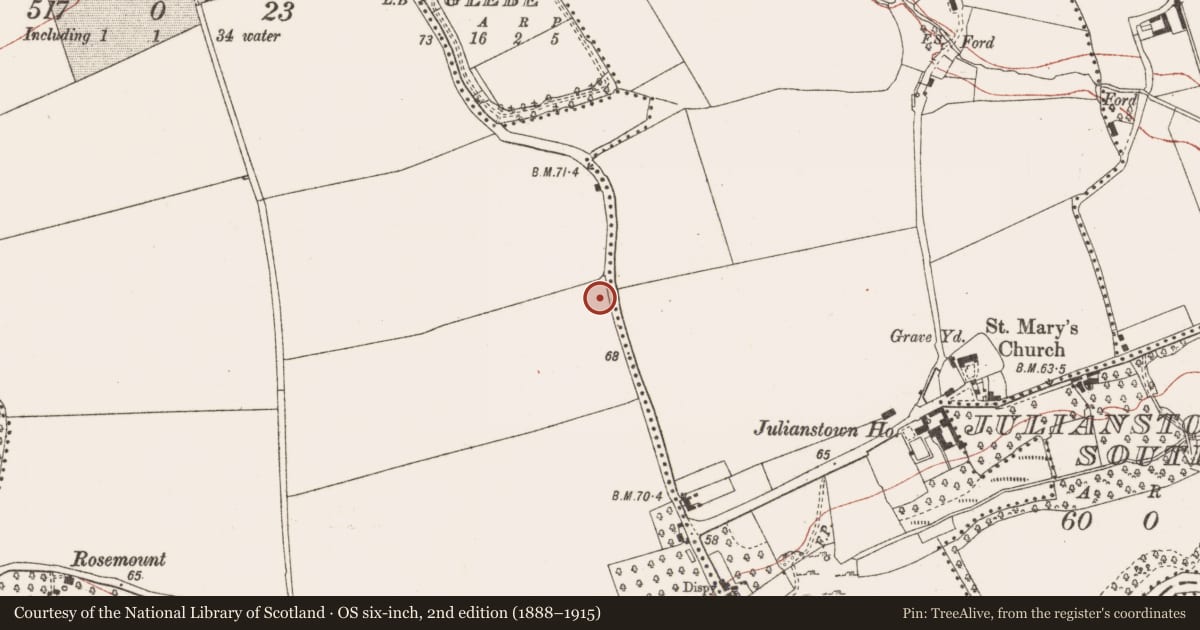 Ordnance Survey six-inch map, 2nd edition (1888–1915) covering the location of Battlefield, County Meath, with a pin at the register's coordinates