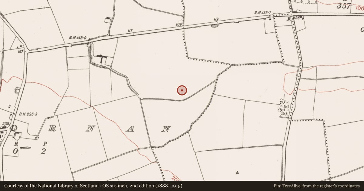 Ordnance Survey six-inch map, 2nd edition (1888–1915) covering the location of Field system, Lisdornan, County Meath, with a pin at the register's coordinates