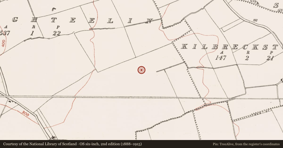 Ordnance Survey six-inch map, 2nd edition (1888–1915) covering the location of Enclosure, Mullaghteelin, County Meath, with a pin at the register's coordinates