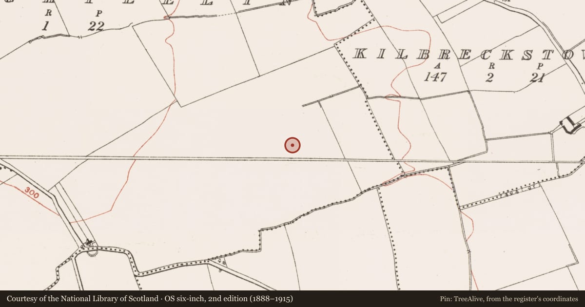 Ordnance Survey six-inch map, 2nd edition (1888–1915) covering the location of Field system, Mullaghteelin, County Meath, with a pin at the register's coordinates