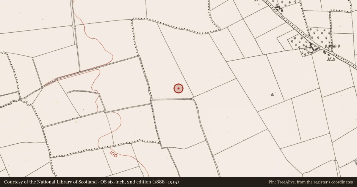 Ordnance Survey six-inch map, 2nd edition (1888–1915) covering the location of Enclosure, Gormanston, County Meath, with a pin at the register's coordinates
