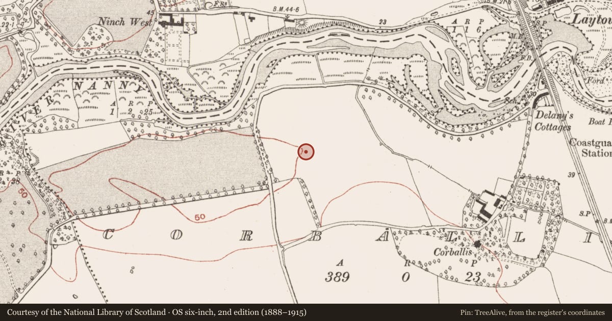 Ordnance Survey six-inch map, 2nd edition (1888–1915) covering the location of Ringfort - rath, Corballis, County Meath, with a pin at the register's coordinates