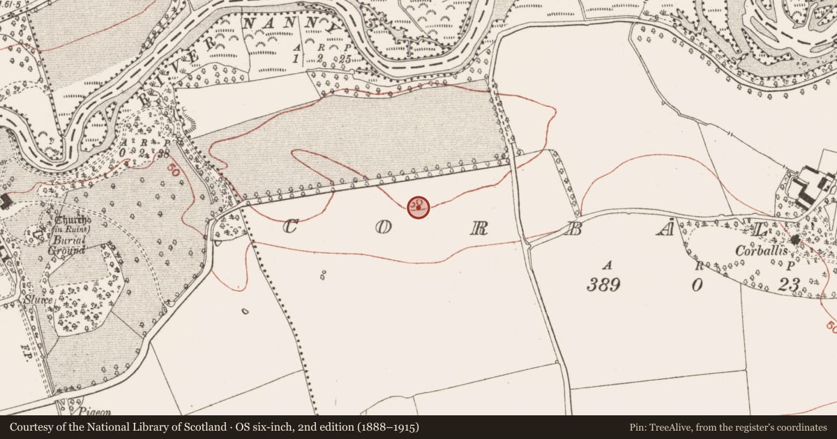Ordnance Survey six-inch map, 2nd edition (1888–1915) covering the location of Ring-ditch, Corballis, County Meath, with a pin at the register's coordinates