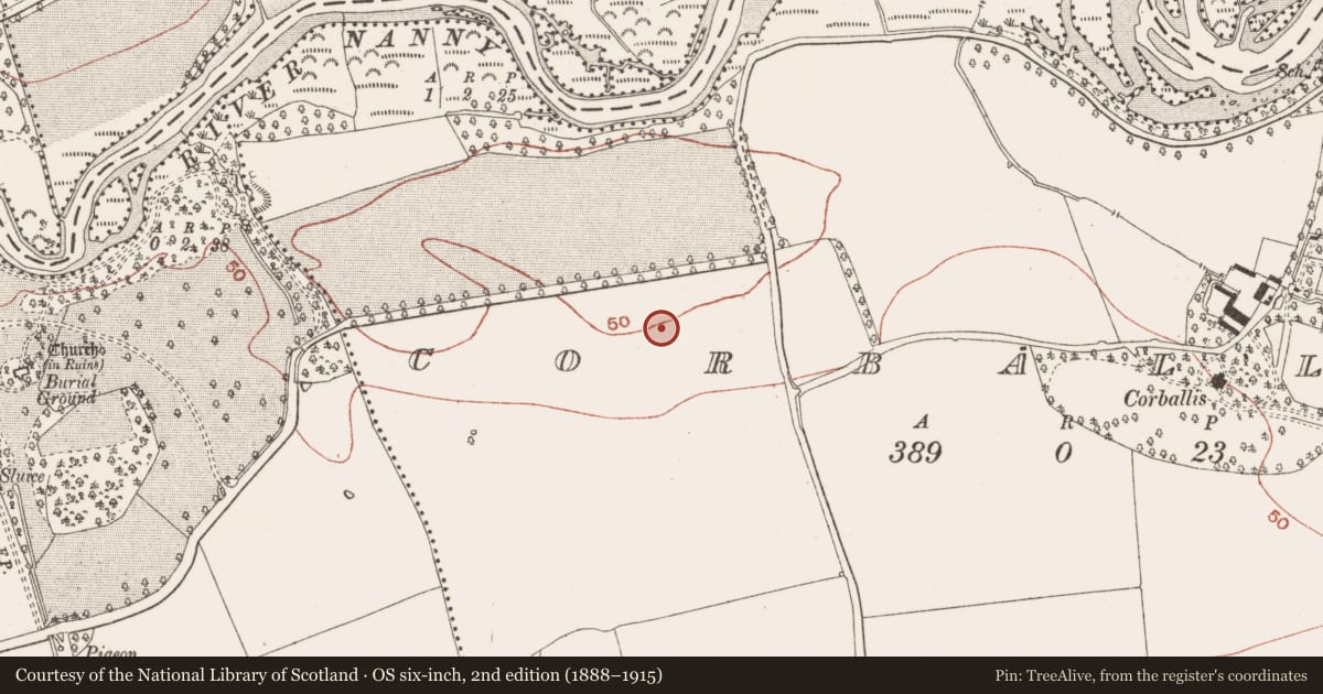 Ordnance Survey six-inch map, 2nd edition (1888–1915) covering the location of Ring-ditch, Corballis, County Meath, with a pin at the register's coordinates
