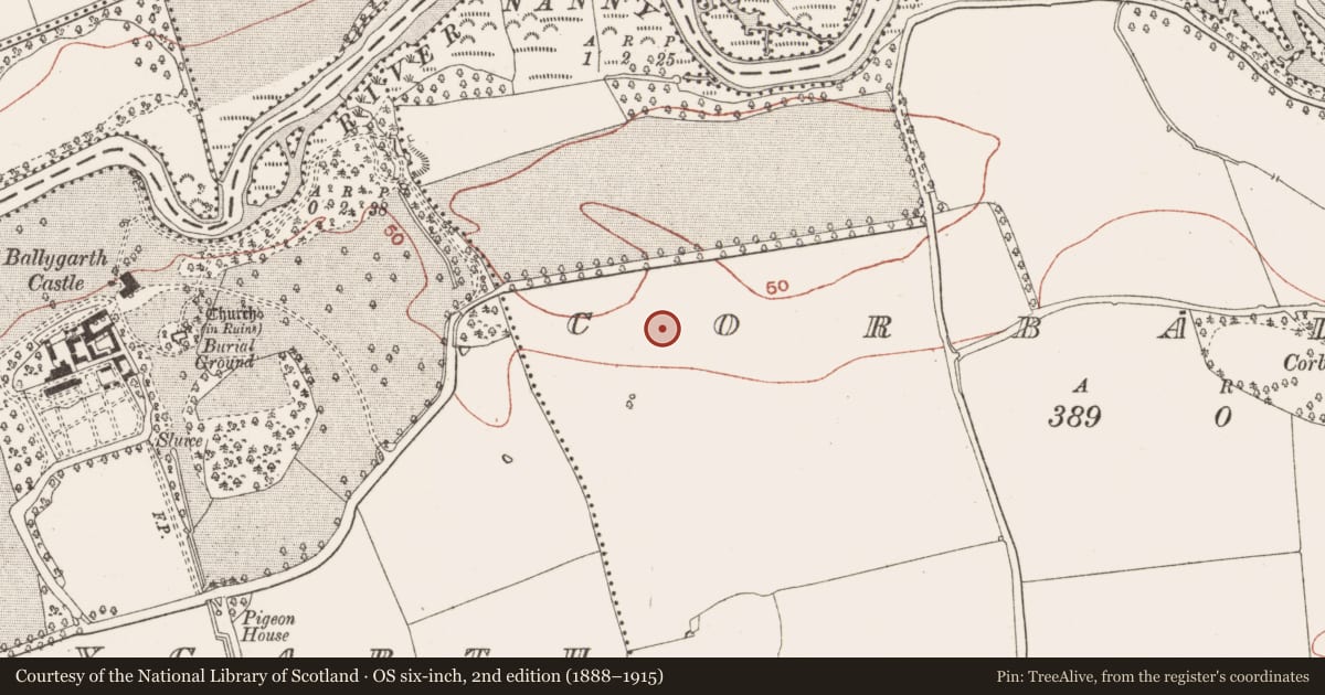 Ordnance Survey six-inch map, 2nd edition (1888–1915) covering the location of Enclosure, Corballis, County Meath, with a pin at the register's coordinates