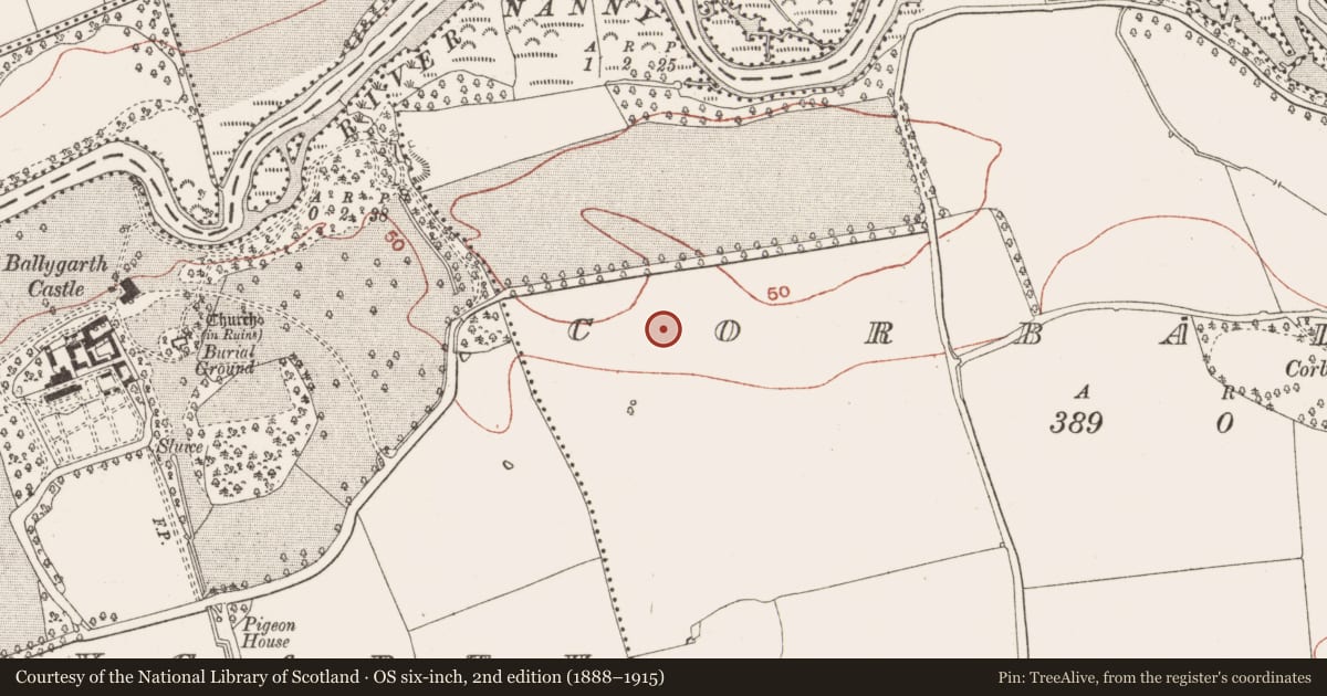 Ordnance Survey six-inch map, 2nd edition (1888–1915) covering the location of Ring-ditch, Corballis, County Meath, with a pin at the register's coordinates