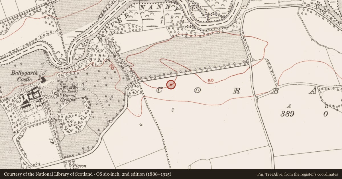 Ordnance Survey six-inch map, 2nd edition (1888–1915) covering the location of Ring-ditch, Corballis, County Meath, with a pin at the register's coordinates
