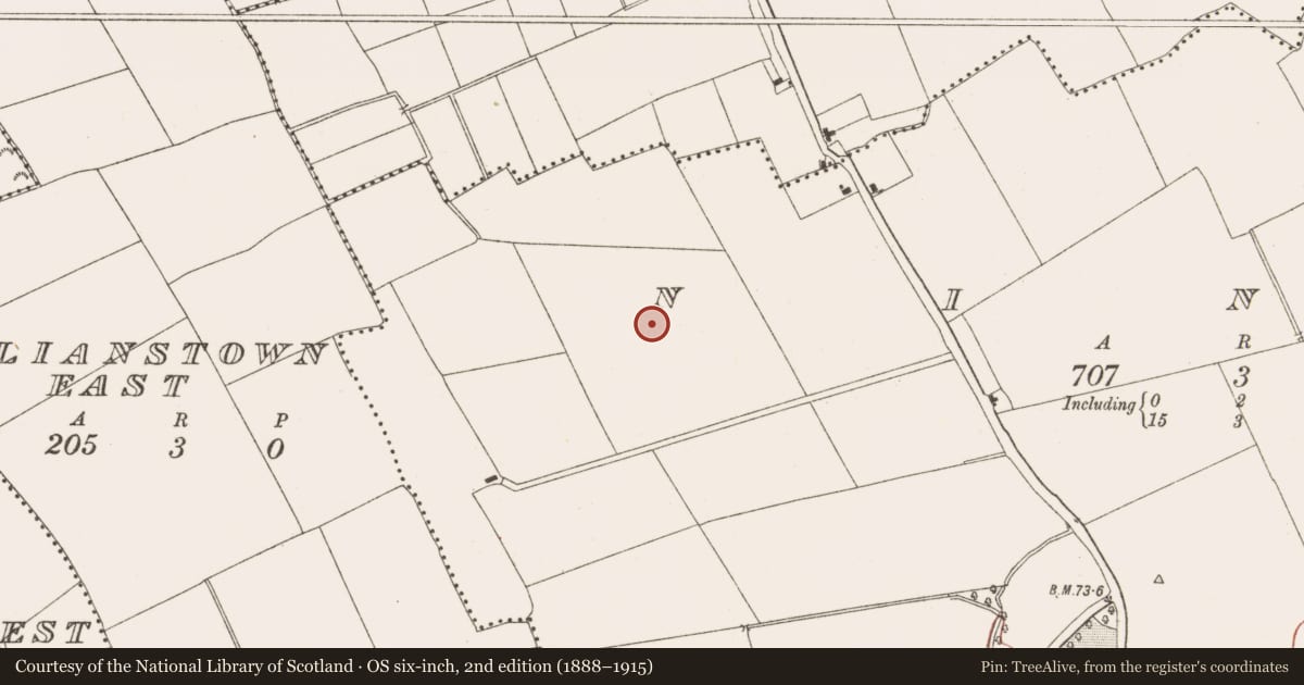 Ordnance Survey six-inch map, 2nd edition (1888–1915) covering the location of Enclosure, Ninch, County Meath, with a pin at the register's coordinates