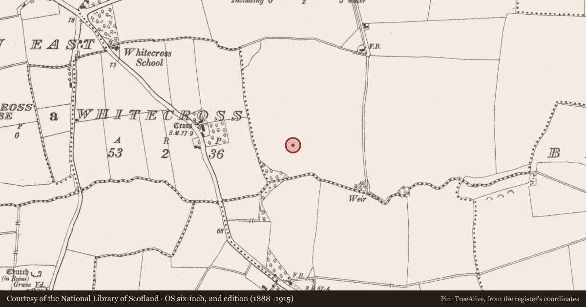 Ordnance Survey six-inch map, 2nd edition (1888–1915) covering the location of Ringfort - rath, Ballygarth, County Meath, with a pin at the register's coordinates