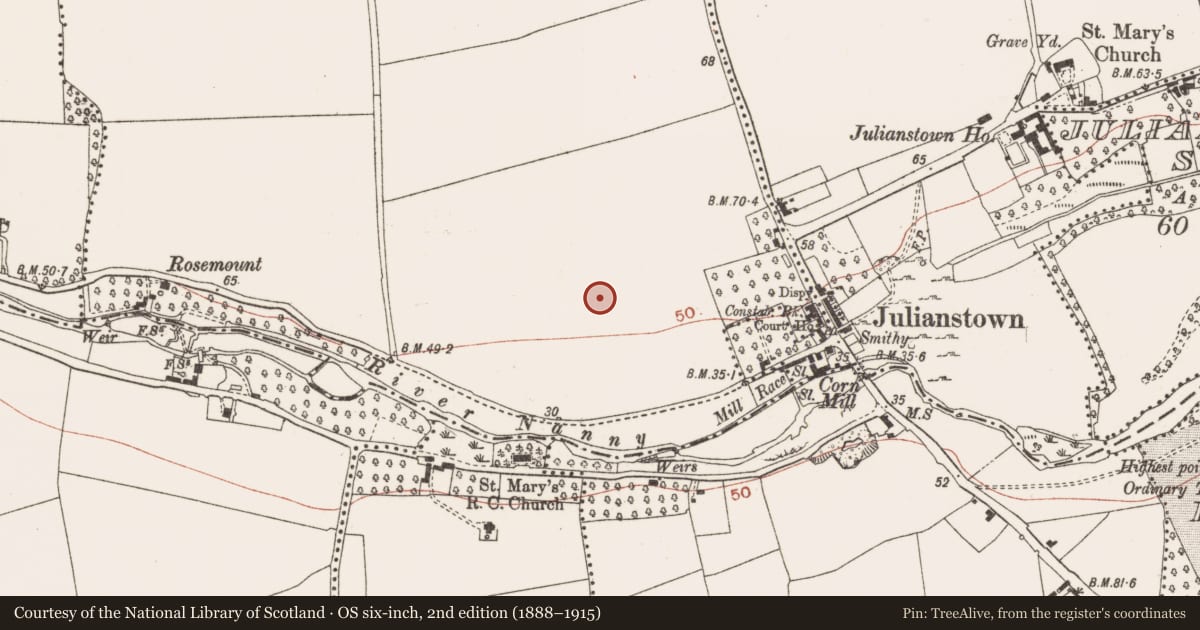 Ordnance Survey six-inch map, 2nd edition (1888–1915) covering the location of Ringfort - rath, Smithstown, County Meath, with a pin at the register's coordinates