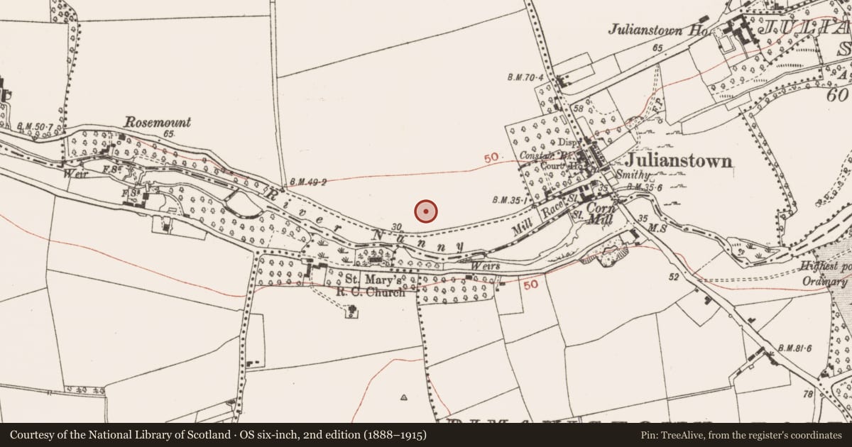 Ordnance Survey six-inch map, 2nd edition (1888–1915) covering the location of Enclosure, Smithstown, County Meath, with a pin at the register's coordinates