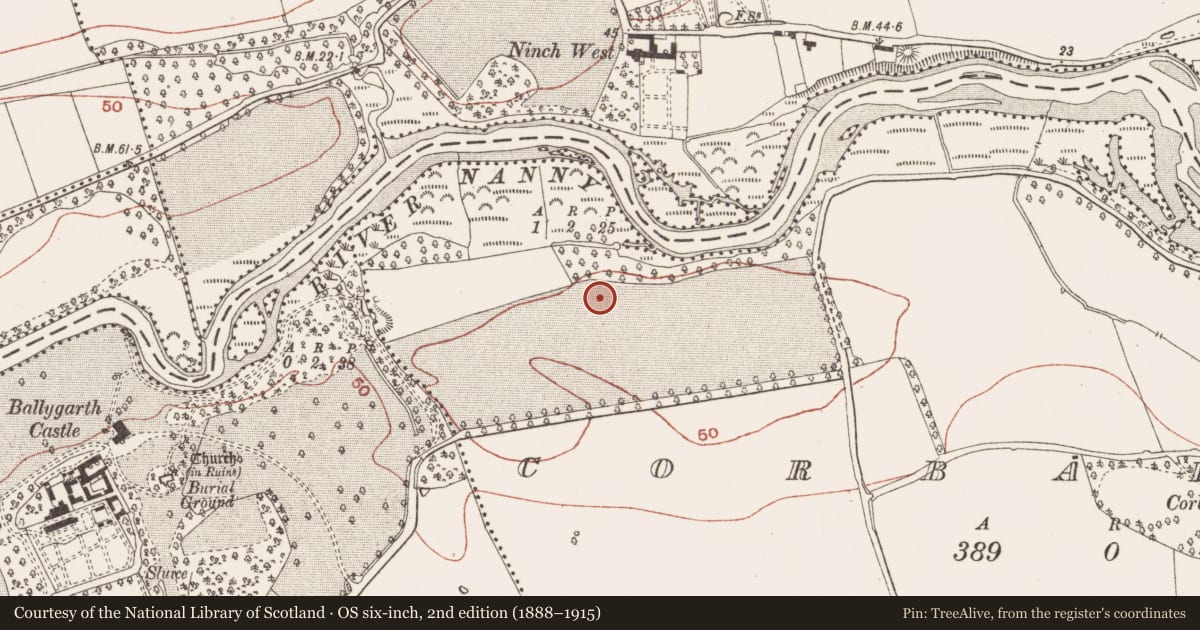 Ordnance Survey six-inch map, 2nd edition (1888–1915) covering the location of Ring-ditch, Corballis, County Meath, with a pin at the register's coordinates