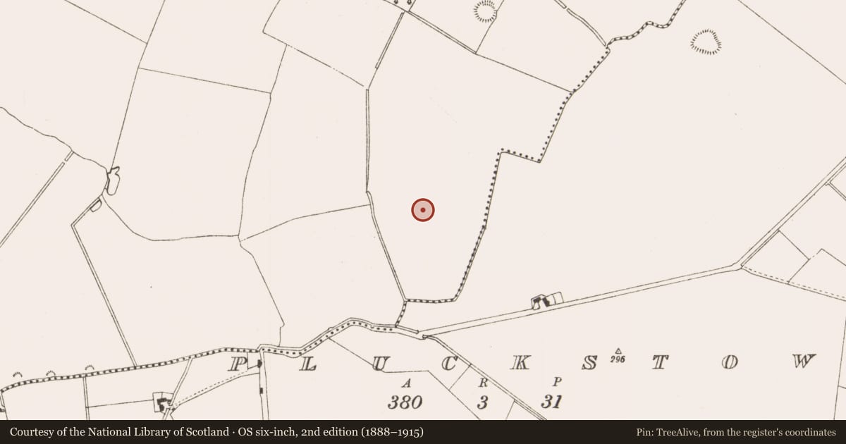 Ordnance Survey six-inch map, 2nd edition (1888–1915) covering the location of Ringfort - rath, Grennanstown, County Meath, with a pin at the register's coordinates