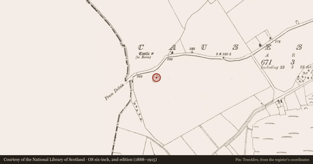 Ordnance Survey six-inch map, 2nd edition (1888–1915) covering the location of Ringfort - rath, Causestown, County Meath, with a pin at the register's coordinates