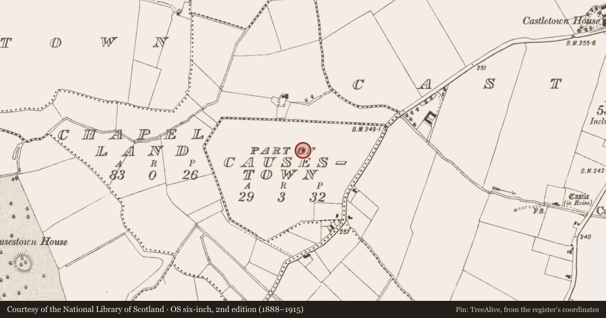 Ordnance Survey six-inch map, 2nd edition (1888–1915) covering the location of Enclosure - large enclosure, Causestown, County Meath, with a pin at the register's coordinates