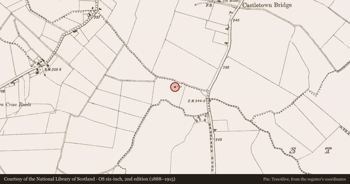 Ordnance Survey six-inch map, 2nd edition (1888–1915) covering the location of Fulacht fia, Higginstown, County Meath, with a pin at the register's coordinates