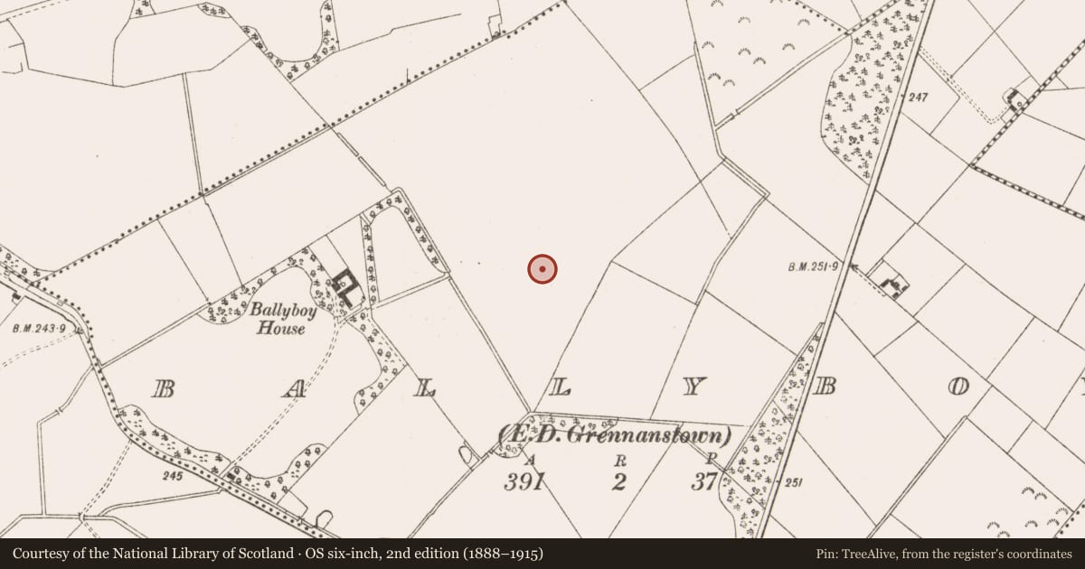 Ordnance Survey six-inch map, 2nd edition (1888–1915) covering the location of Concentric enclosure, Ballyboy (Lune By., Athboy Par.), County Meath, with a pin at the register's coordinates