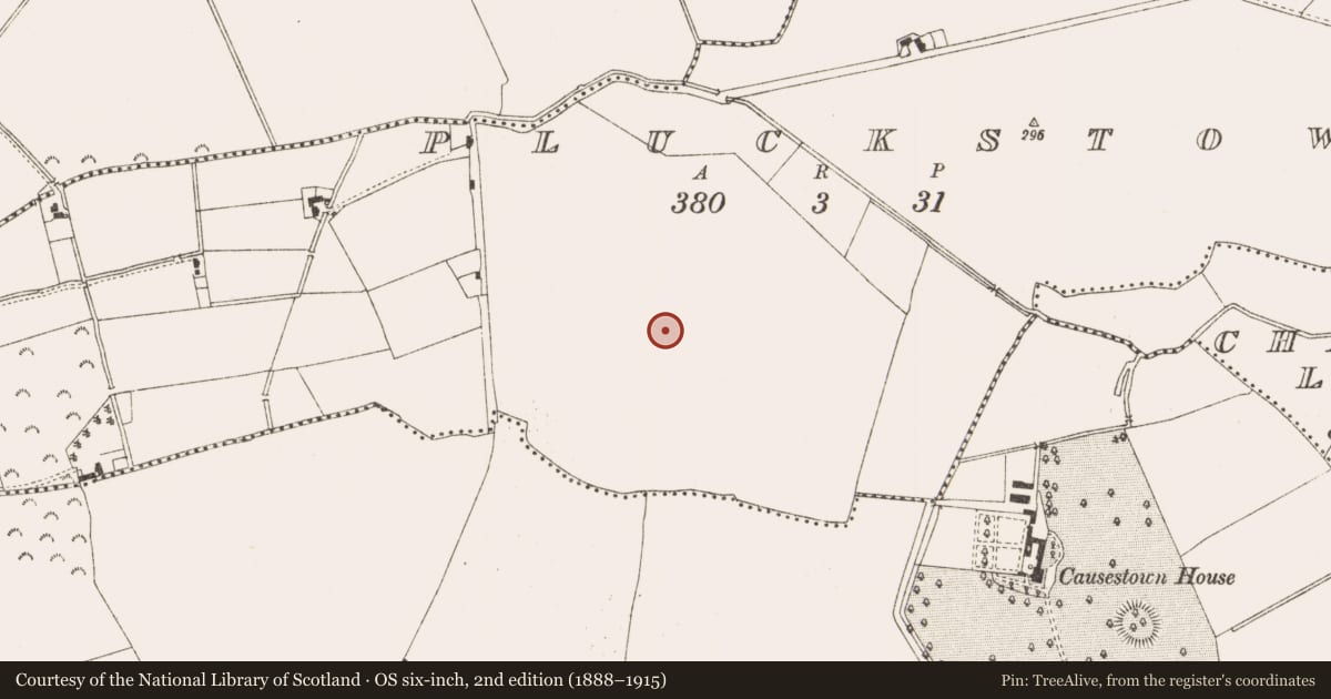 Ordnance Survey six-inch map, 2nd edition (1888–1915) covering the location of Ringfort - rath, Pluckstown, County Meath, with a pin at the register's coordinates