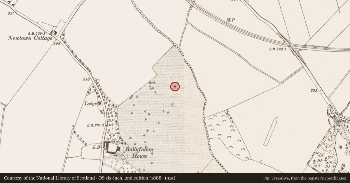 Ordnance Survey six-inch map, 2nd edition (1888–1915) covering the location of Enclosure - large enclosure, Newtown Or Ballyfallon, County Meath, with a pin at the register's coordinates