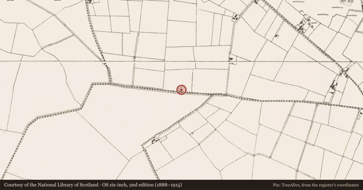 Ordnance Survey six-inch map, 2nd edition (1888–1915) covering the location of Ringfort - rath, Rathconny, County Meath, with a pin at the register's coordinates