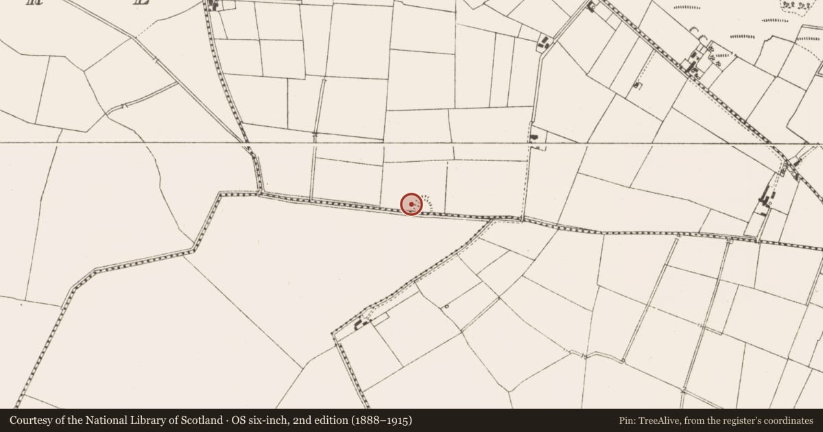 Ordnance Survey six-inch map, 2nd edition (1888–1915) covering the location of House - indeterminate date, Rathconny, County Meath, with a pin at the register's coordinates