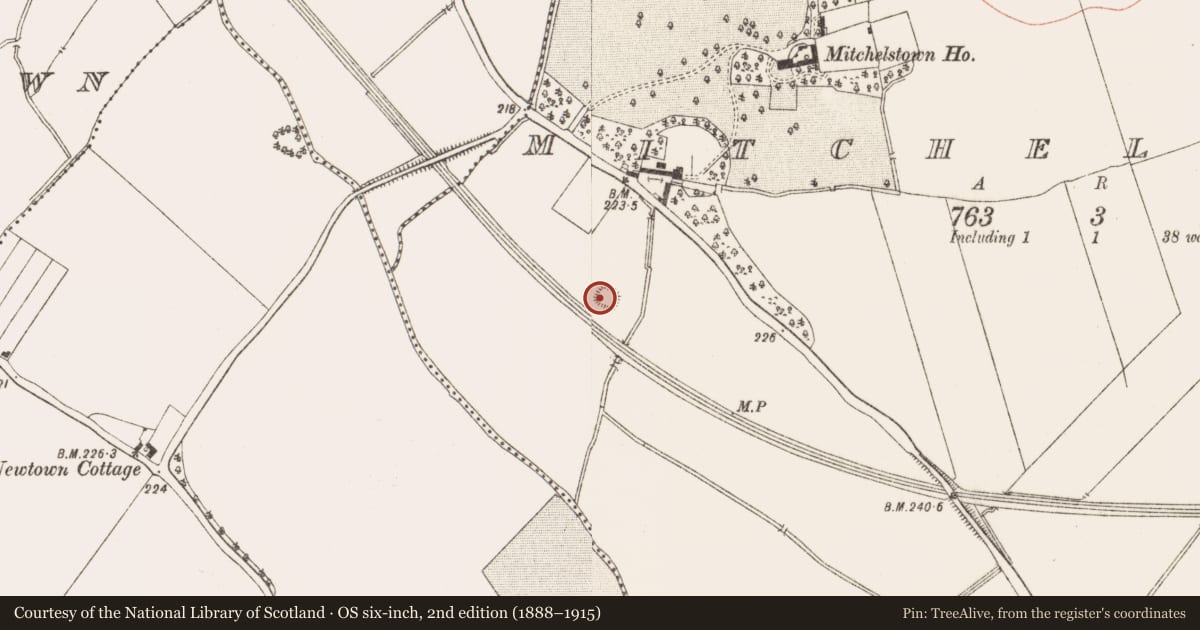 Ordnance Survey six-inch map, 2nd edition (1888–1915) covering the location of Moated site, Baile Mhistéil, County Meath, with a pin at the register's coordinates