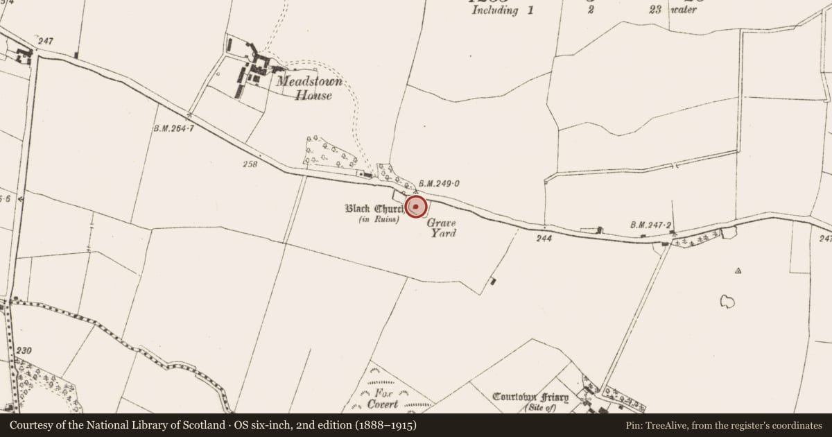 Ordnance Survey six-inch map, 2nd edition (1888–1915) covering the location of Church, Meadstown, County Meath, with a pin at the register's coordinates