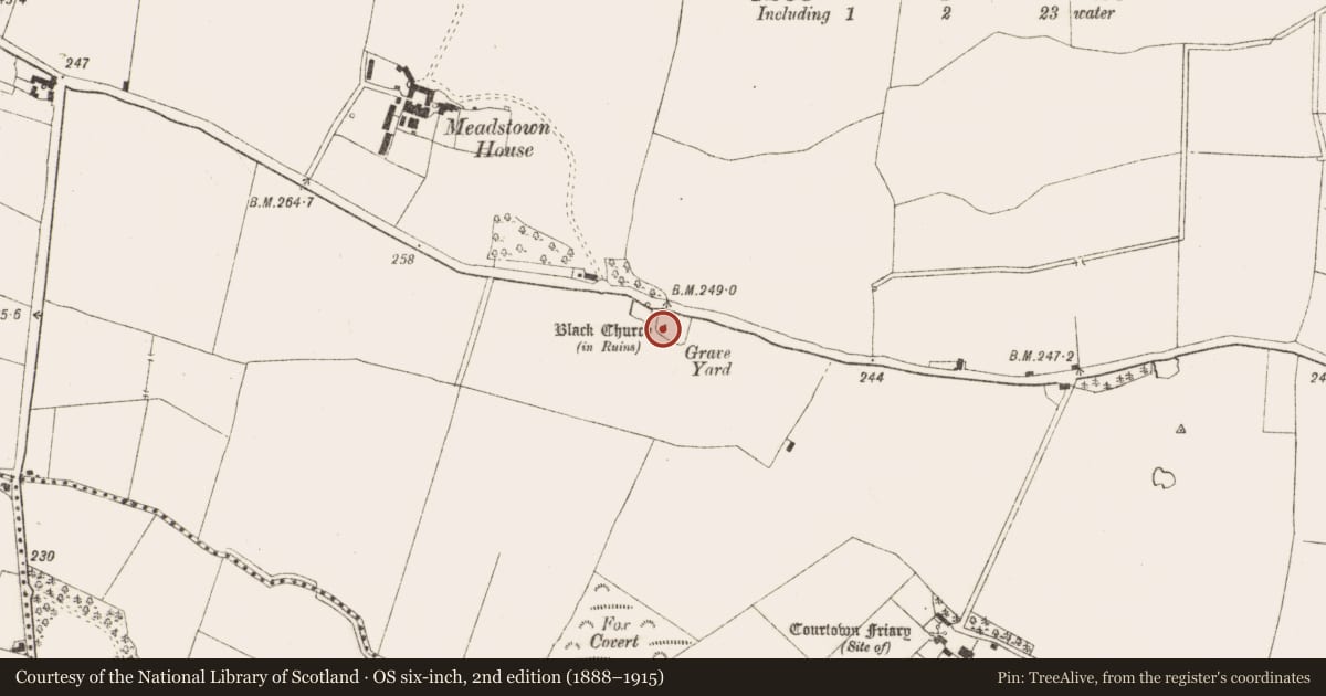 Ordnance Survey six-inch map, 2nd edition (1888–1915) covering the location of Font, Meadstown, County Meath, with a pin at the register's coordinates