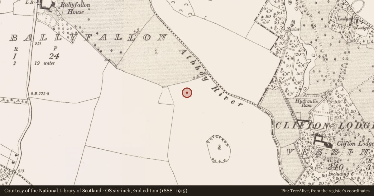 Ordnance Survey six-inch map, 2nd edition (1888–1915) covering the location of Ringfort - rath, Newtown Or Ballyfallon, County Meath, with a pin at the register's coordinates