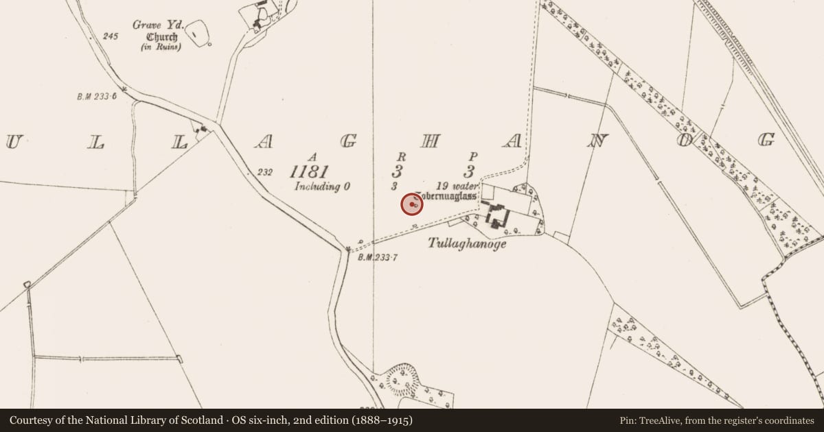 Ordnance Survey six-inch map, 2nd edition (1888–1915) covering the location of Memorial stone, Tulach Chonóg, County Meath, with a pin at the register's coordinates