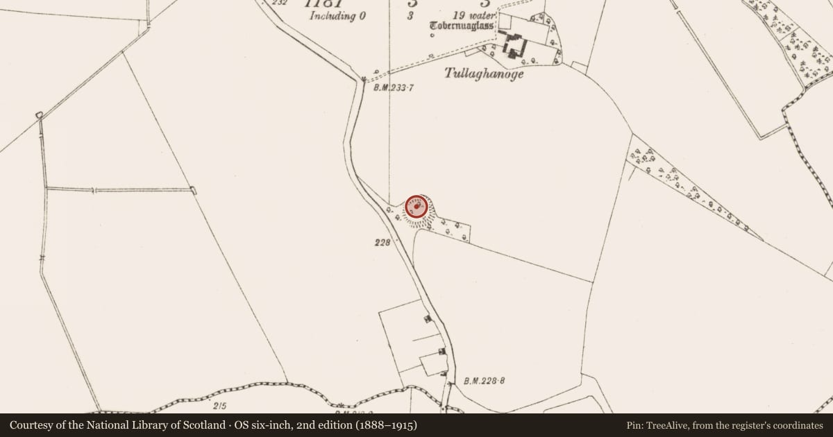 Ordnance Survey six-inch map, 2nd edition (1888–1915) covering the location of Ringfort - rath, Tulach Chonóg, County Meath, with a pin at the register's coordinates