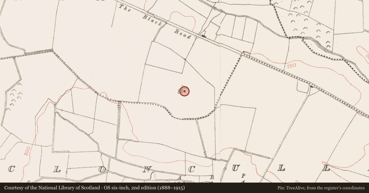 Ordnance Survey six-inch map, 2nd edition (1888–1915) covering the location of Enclosure, Dunlough, County Meath, with a pin at the register's coordinates