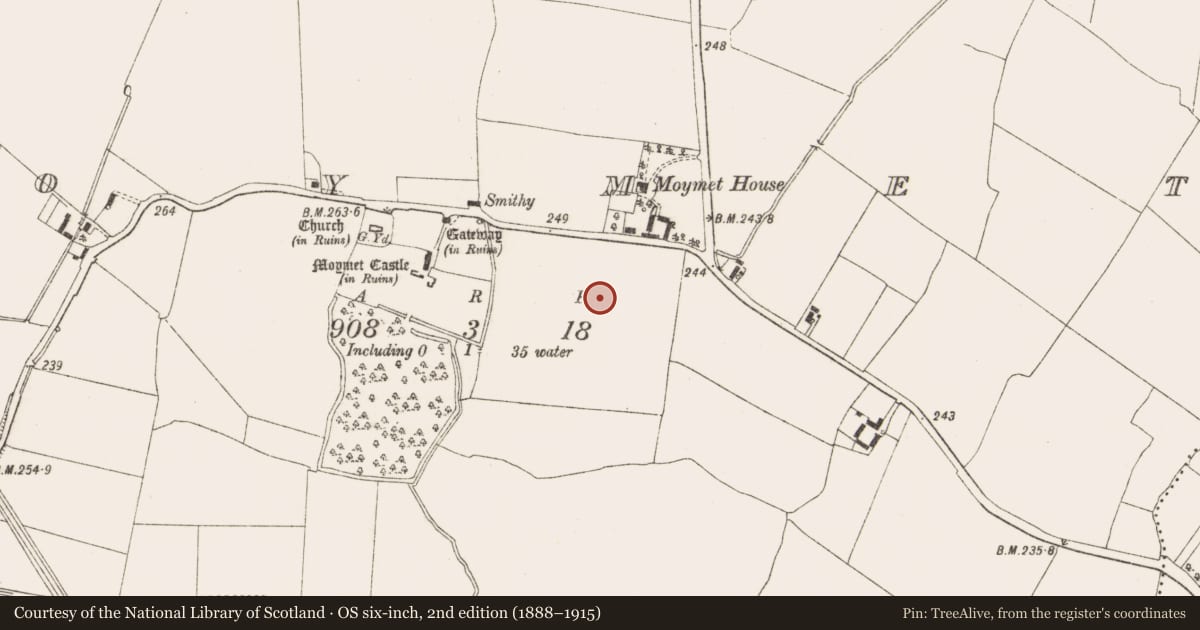 Ordnance Survey six-inch map, 2nd edition (1888–1915) covering the location of Field system, Moymet, County Meath, with a pin at the register's coordinates