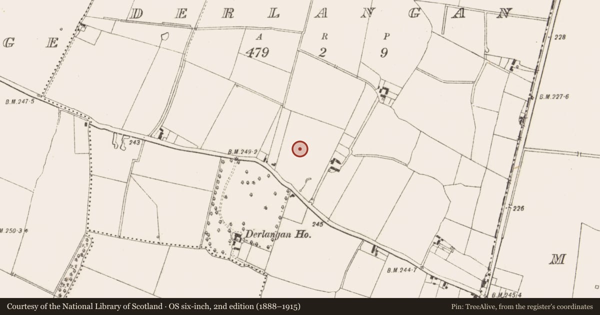 Ordnance Survey six-inch map, 2nd edition (1888–1915) covering the location of Field system, Doire Longáin, County Meath, with a pin at the register's coordinates