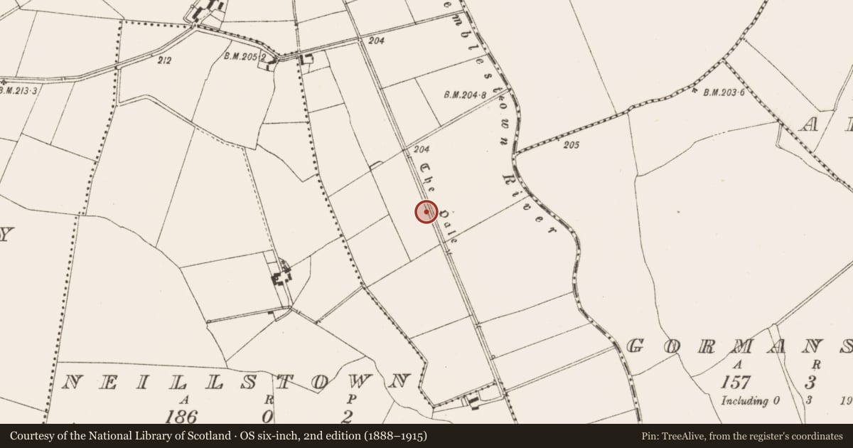 Ordnance Survey six-inch map, 2nd edition (1888–1915) covering the location of Linear earthwork, Kildalkey, Neillstown, County Meath, with a pin at the register's coordinates