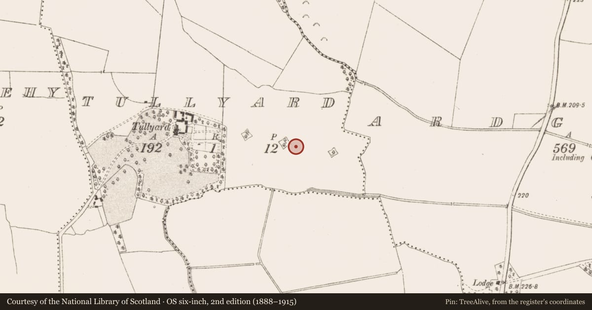 Ordnance Survey six-inch map, 2nd edition (1888–1915) covering the location of Enclosure, Tullyard, County Meath, with a pin at the register's coordinates