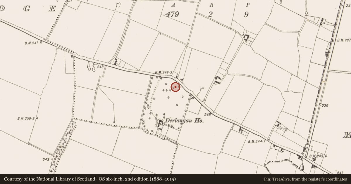 Ordnance Survey six-inch map, 2nd edition (1888–1915) covering the location of Burial ground, Doire Longáin, County Meath, with a pin at the register's coordinates